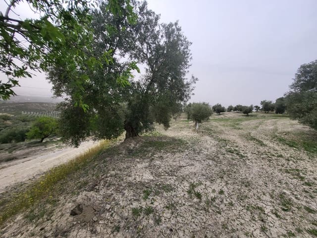 Finca/Landhuis te koop in Güevéjar - € 18.500 (Ref: 10175410)