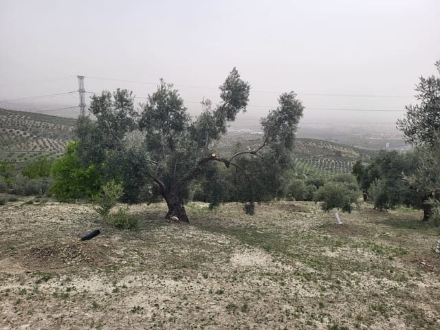 Finca/Landhuis te koop in Güevéjar - € 18.500 (Ref: 10175410)