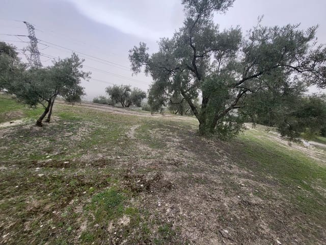 Finca/Landhuis te koop in Güevéjar - € 18.500 (Ref: 10175410)