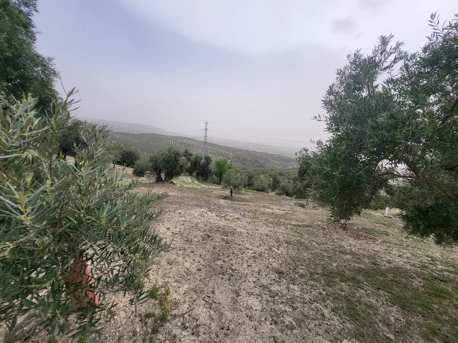 Finca/Landhuis te koop in Guevejar - € 18.500 (Ref: 10175410)