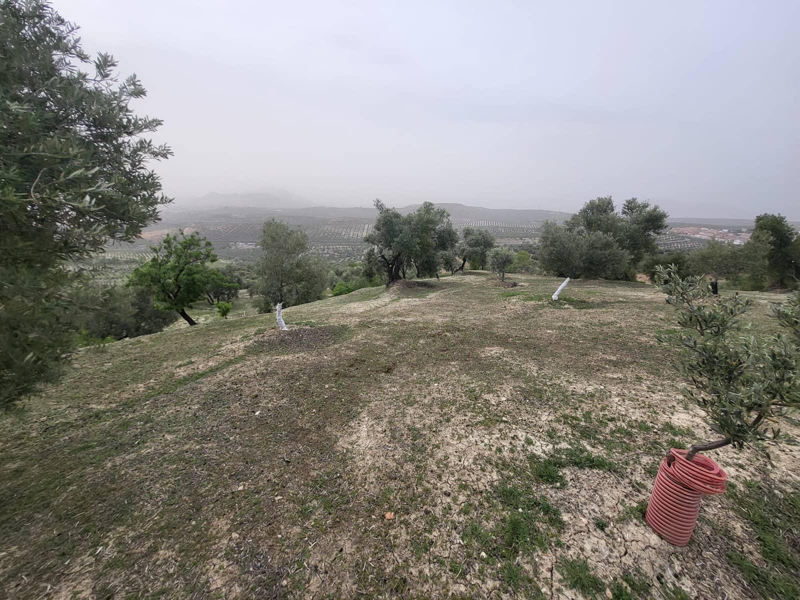 Finca/Landhuis te koop in Guevejar - € 18.500 (Ref: 10175410)