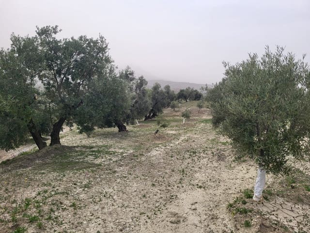 Finca/Landhuis te koop in Güevéjar - € 18.500 (Ref: 10175410)