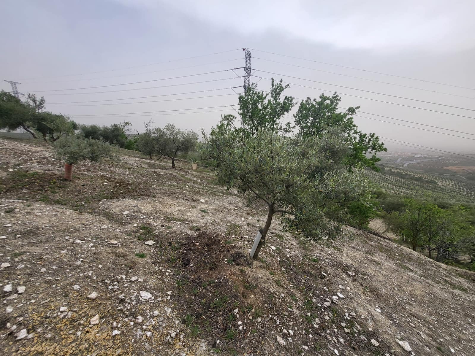 Finca/Landhuis te koop in Guevejar - € 18.500 (Ref: 10175410)