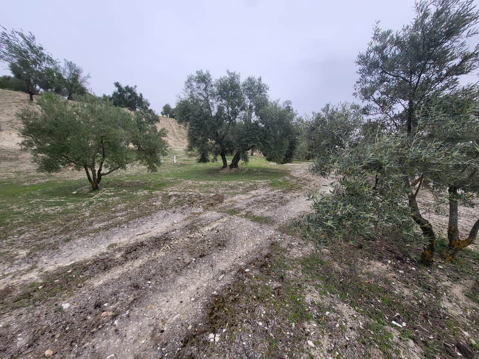 Finca/Landhuis te koop in Guevejar - € 18.500 (Ref: 10175410)