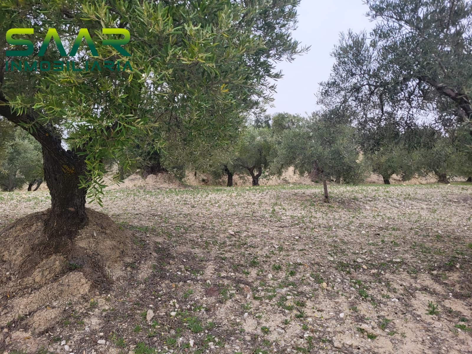 Finca/Landhuis te koop in Guevejar - € 18.500 (Ref: 10175410)