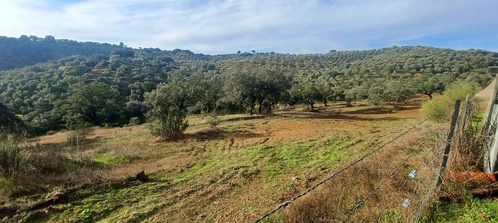 4 sypialnia Finka/Dom wiejski na sprzedaż w Cazalla de la Sierra z garażem - 299 900 € (Ref: 10175567)