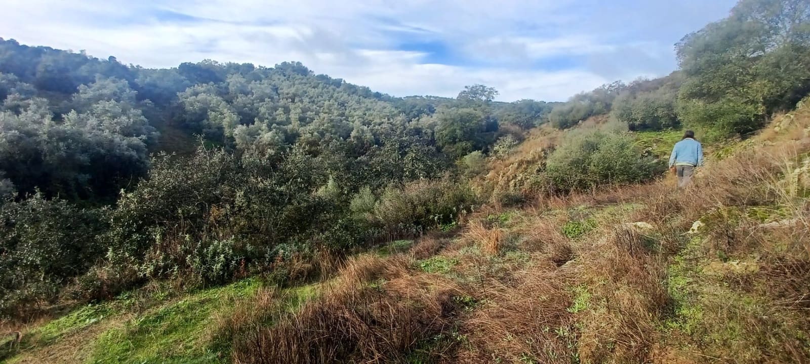 4 sypialnia Finka/Dom wiejski na sprzedaż w Cazalla de la Sierra z garażem - 299 900 € (Ref: 10175567)