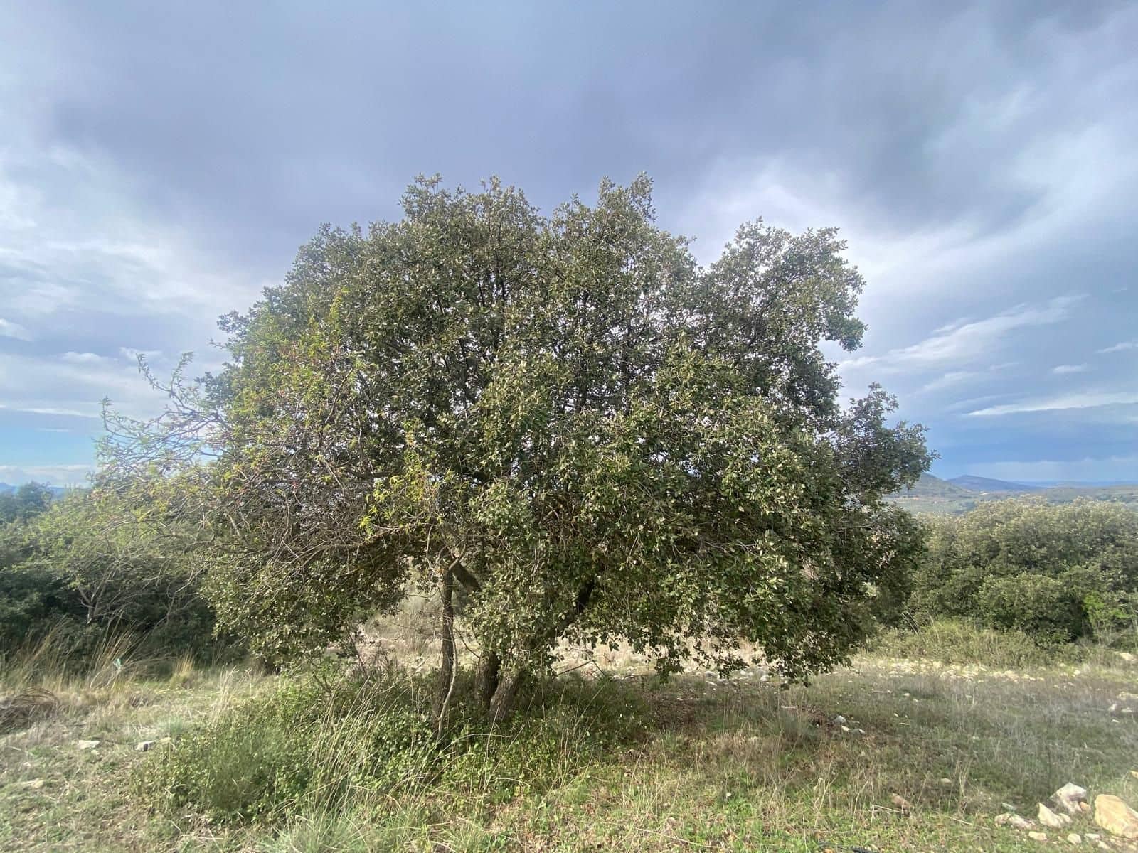 Finca/Herregård til salgs i Alcala la Real - € 109 900 (Ref: 10175586)