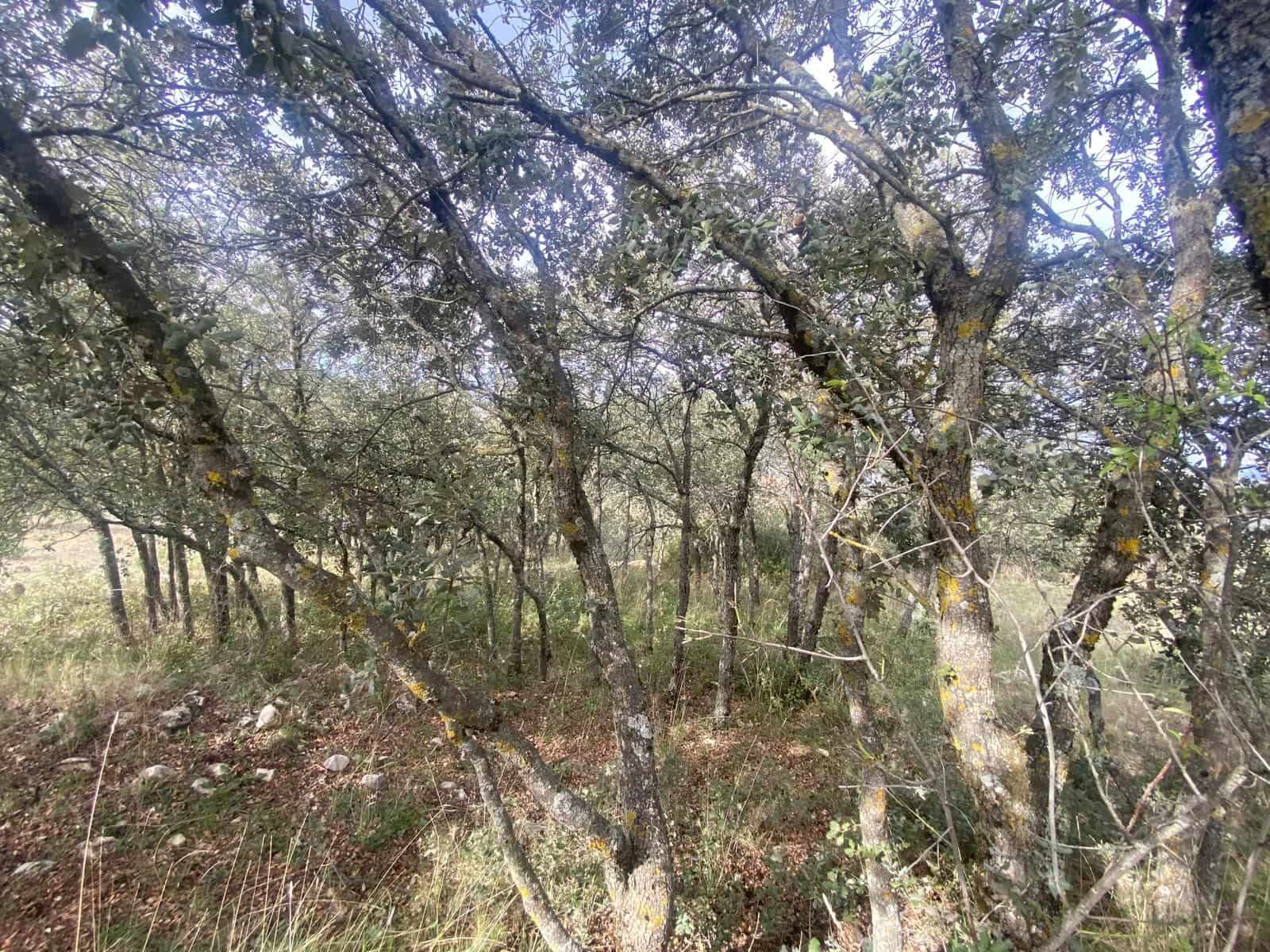 Finca/Herregård til salgs i Alcala la Real - € 109 900 (Ref: 10175586)