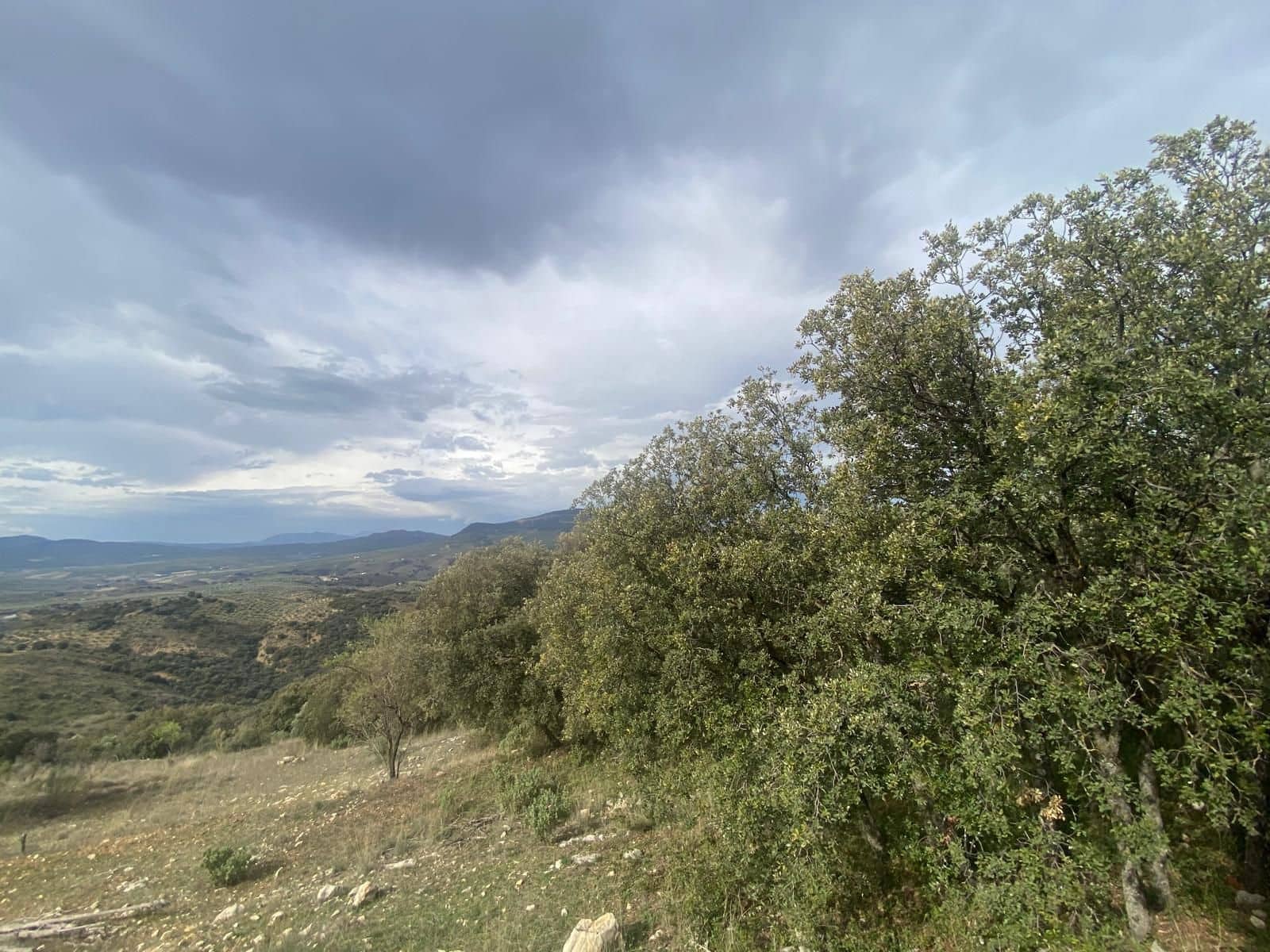Finca/Herregård til salgs i Alcala la Real - € 109 900 (Ref: 10175586)