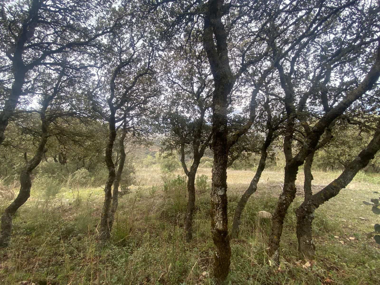 Finca/Herregård til salgs i Alcala la Real - € 109 900 (Ref: 10175586)