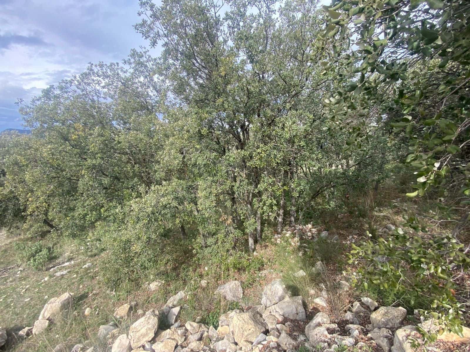 Finca/Herregård til salgs i Alcala la Real - € 109 900 (Ref: 10175586)