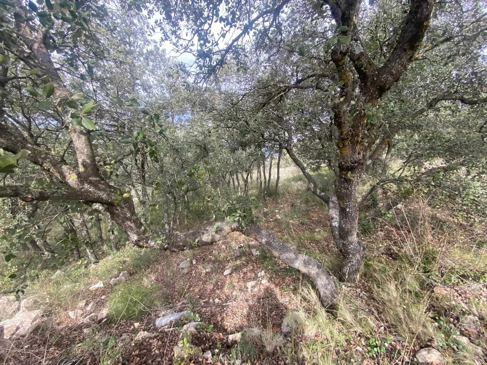 Finca/Herregård til salgs i Alcala la Real - € 109 900 (Ref: 10175586)