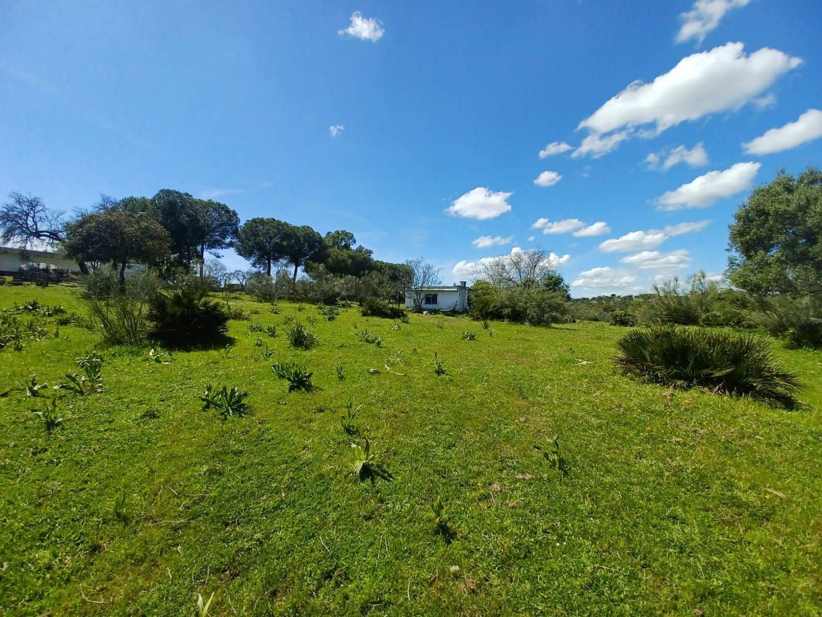 3 soverom Finca/Herregård til salgs i Guillena med svømmebasseng garasje - € 104 000 (Ref: 8935664)