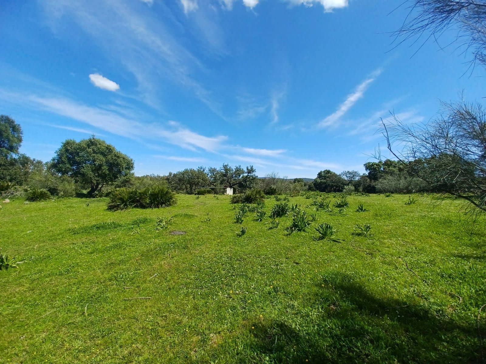 3 soverom Finca/Herregård til salgs i Guillena med svømmebasseng garasje - € 104 000 (Ref: 8935664)