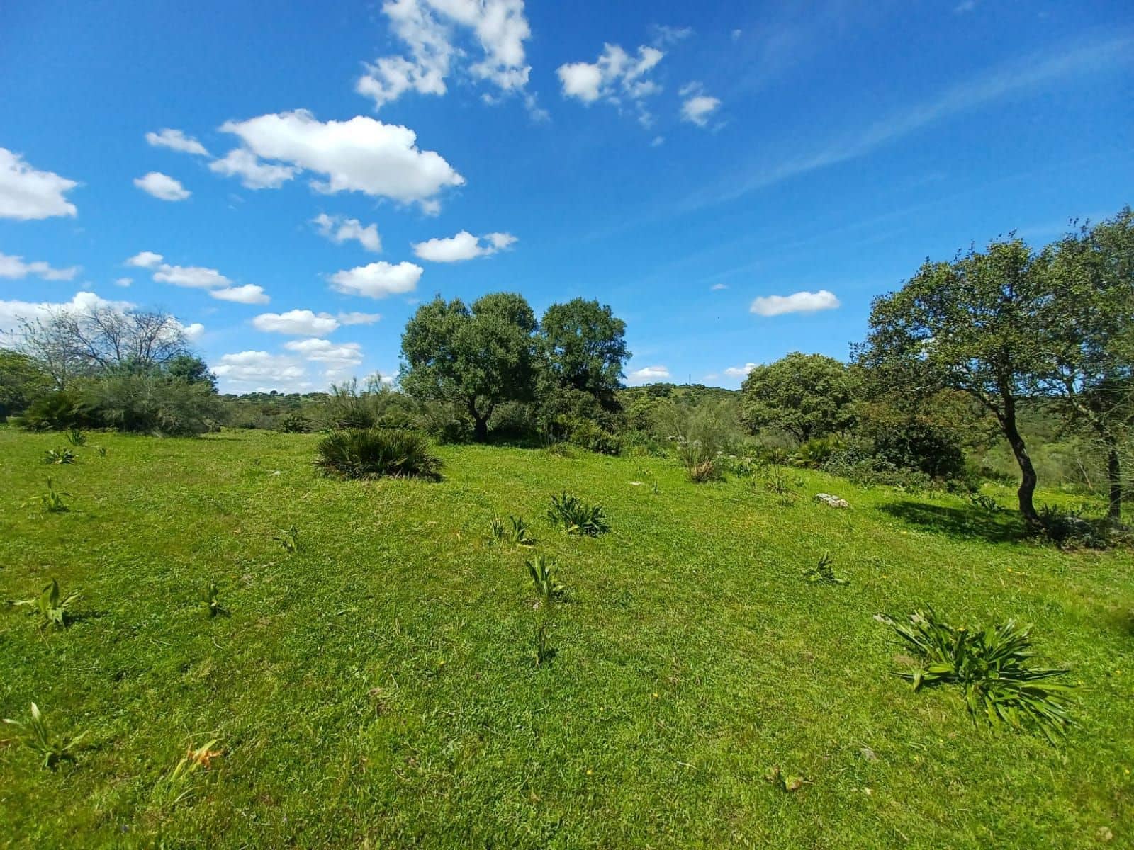 3 soverom Finca/Herregård til salgs i Guillena med svømmebasseng garasje - € 104 000 (Ref: 8935664)