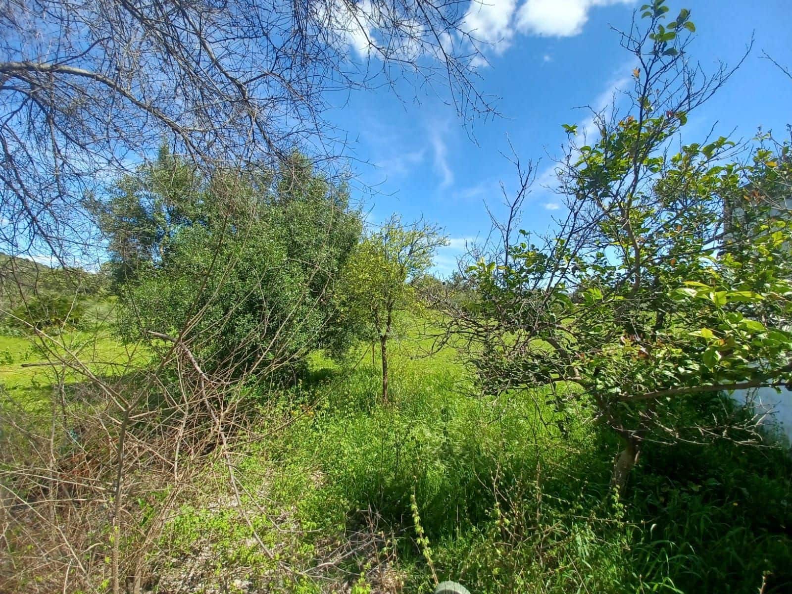 3 soverom Finca/Herregård til salgs i Guillena med svømmebasseng garasje - € 104 000 (Ref: 8935664)