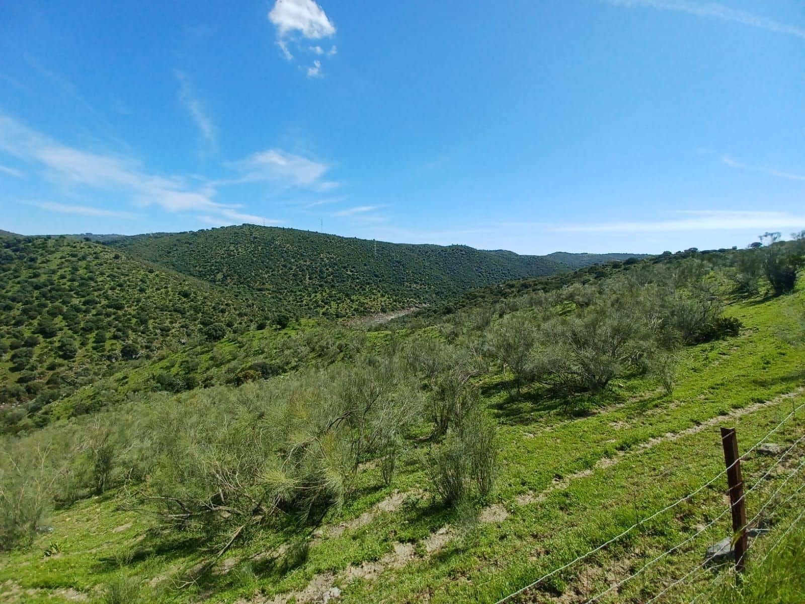 3 soverom Finca/Herregård til salgs i Guillena med svømmebasseng garasje - € 104 000 (Ref: 8935664)