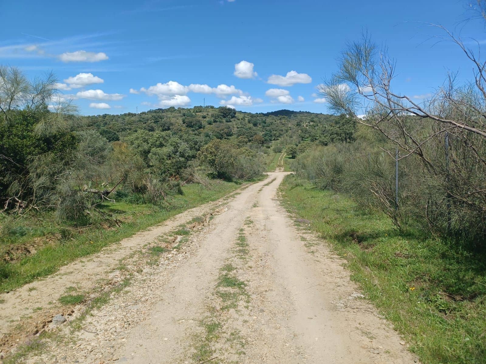 3 soverom Finca/Herregård til salgs i Guillena med svømmebasseng garasje - € 104 000 (Ref: 8935664)