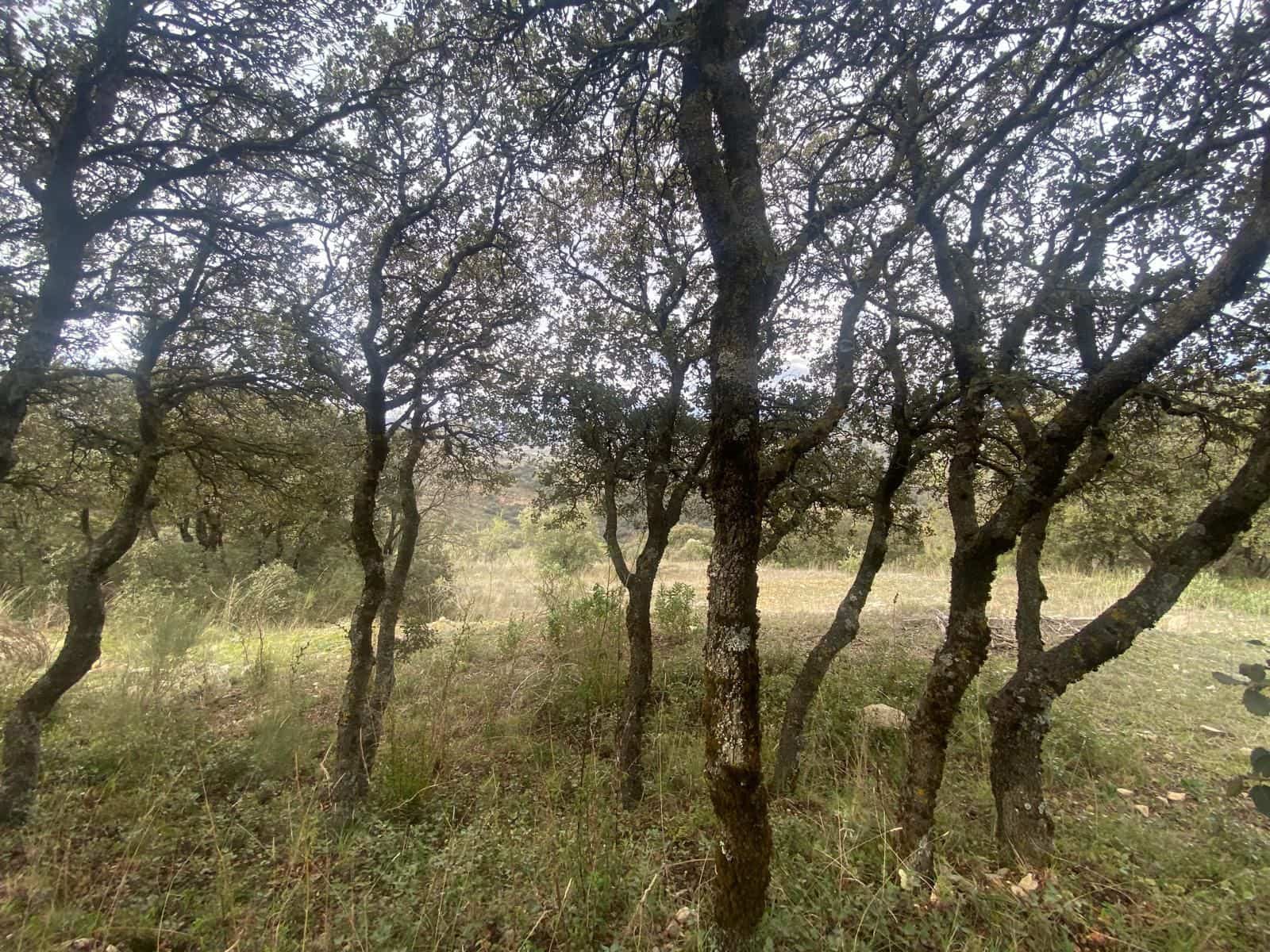 Finca/Casa di Campagna in vendita in Alcala la Real - 109.900 € (Rif: 8935678)