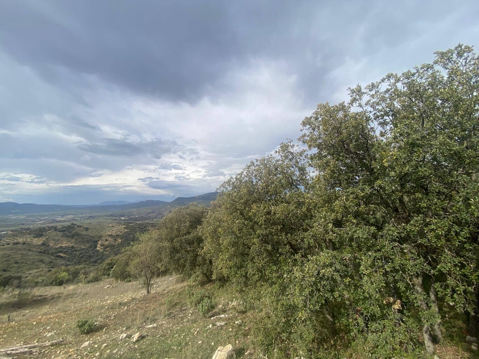 Finca/Casa di Campagna in vendita in Alcala la Real - 109.900 € (Rif: 8935678)