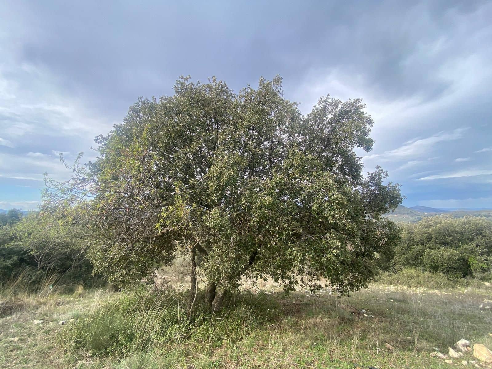 Finca/Casa di Campagna in vendita in Alcala la Real - 109.900 € (Rif: 8935678)