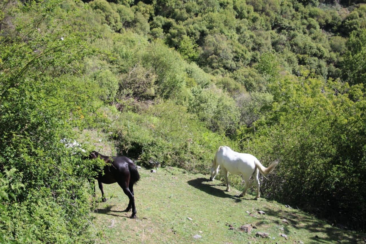 Quinta/Casa Rural para venda em Trevelez - 69 900 € (Ref: 8935705)