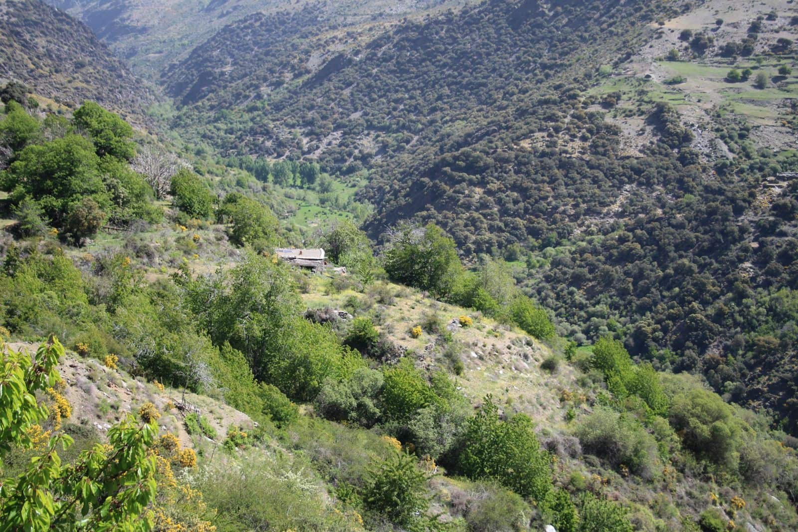 Quinta/Casa Rural para venda em Trevelez - 69 900 € (Ref: 8935705)