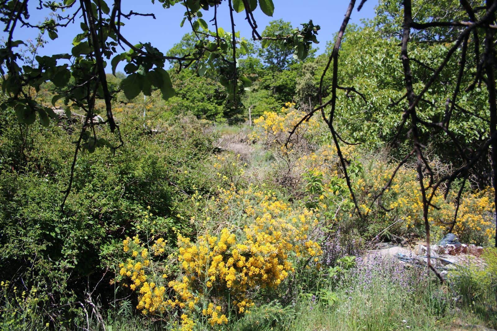 Quinta/Casa Rural para venda em Trevelez - 69 900 € (Ref: 8935705)
