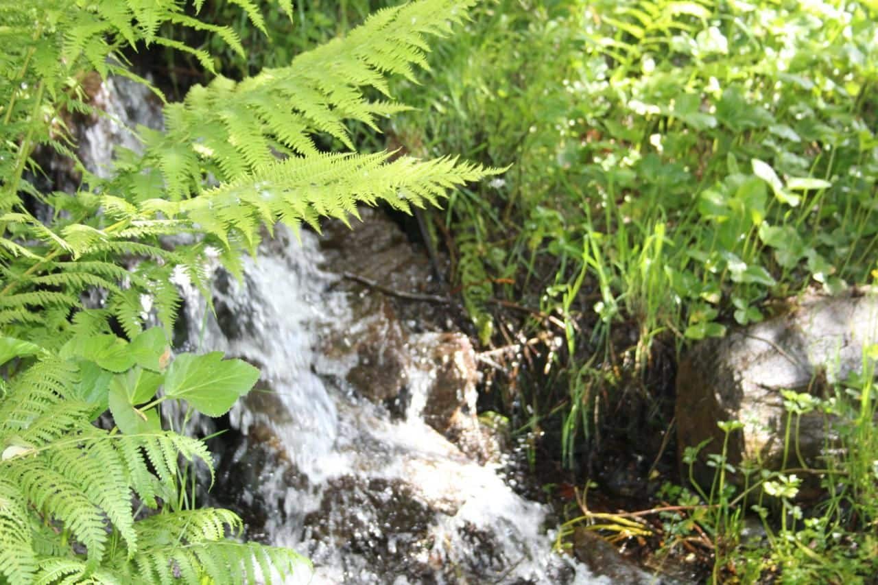 Quinta/Casa Rural para venda em Trevelez - 69 900 € (Ref: 8935705)