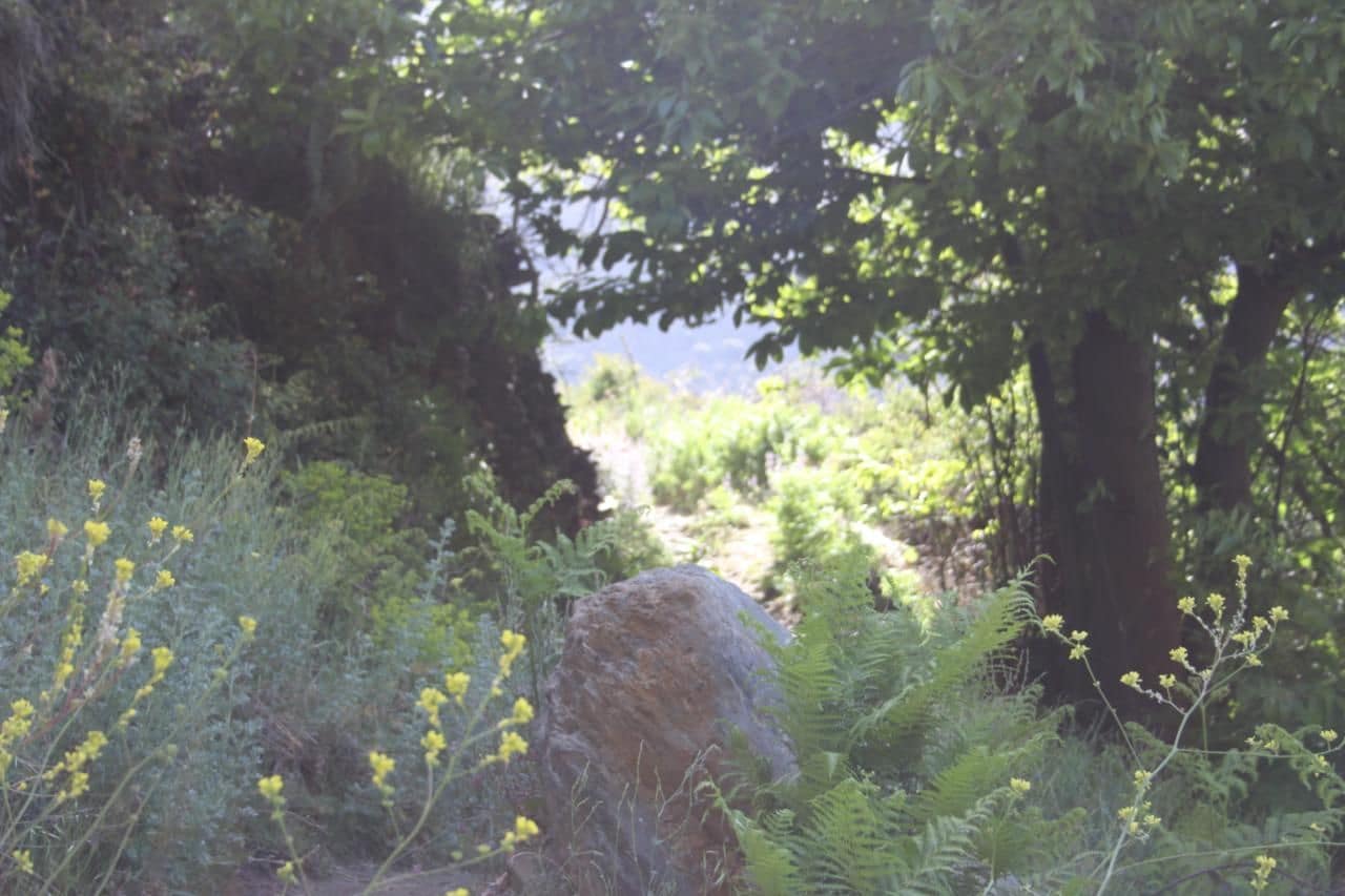 Quinta/Casa Rural para venda em Trevelez - 69 900 € (Ref: 8935705)