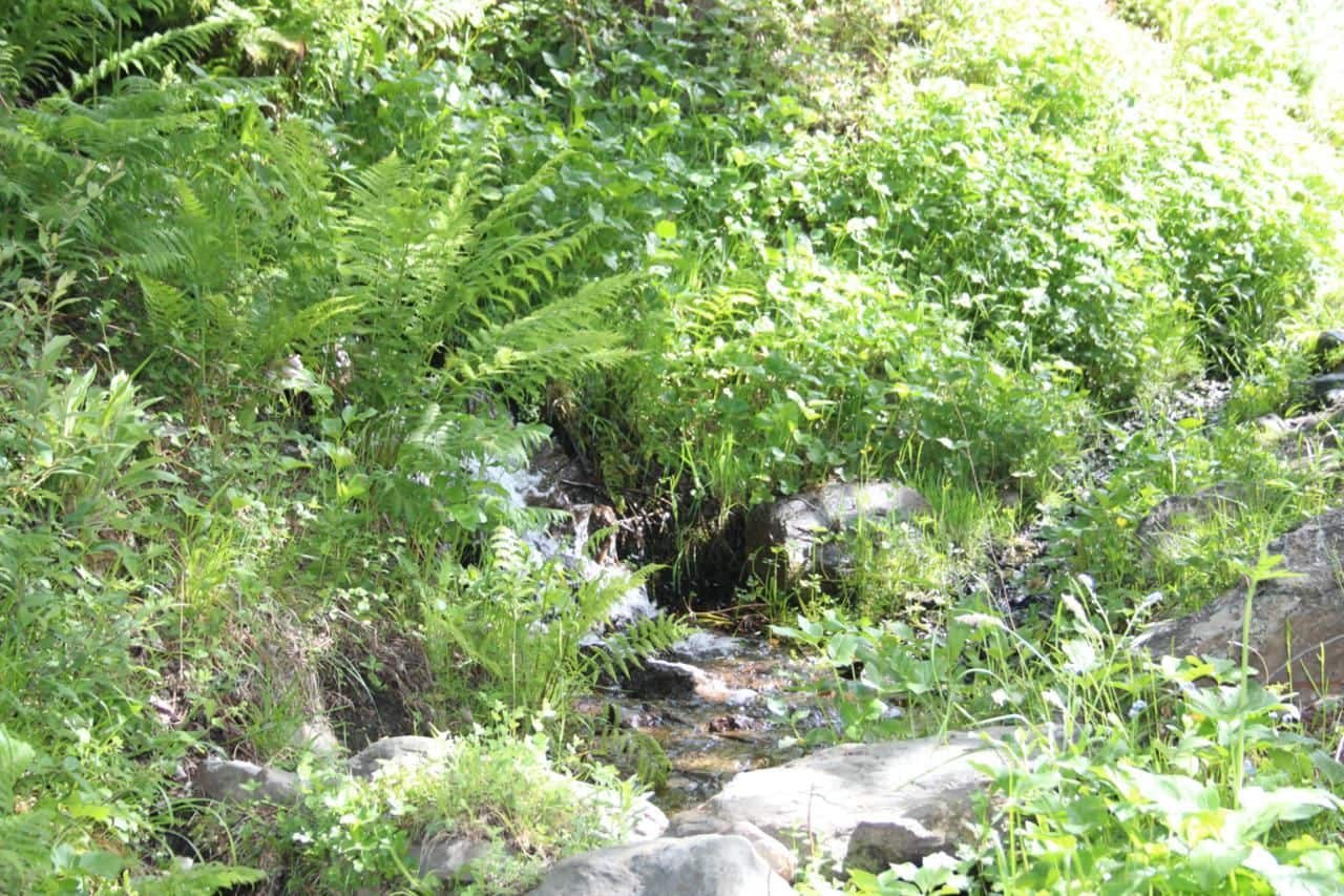 Quinta/Casa Rural para venda em Trevelez - 69 900 € (Ref: 8935705)