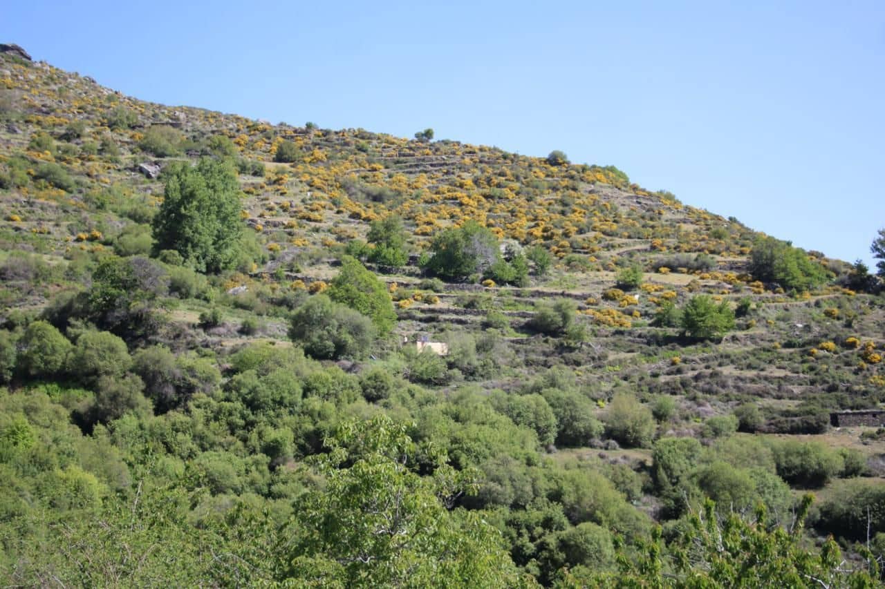 Quinta/Casa Rural para venda em Trevelez - 69 900 € (Ref: 8935705)