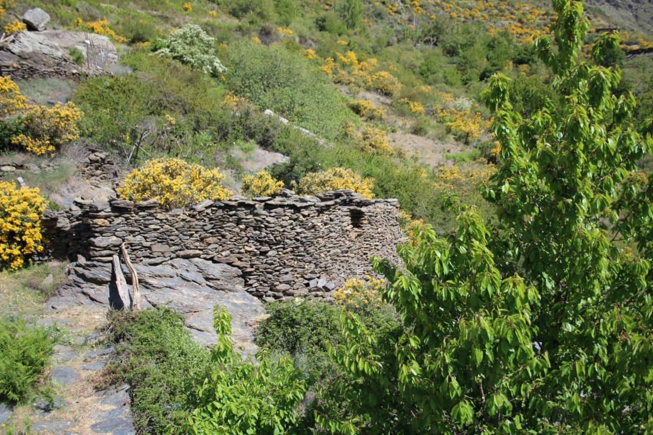 Quinta/Casa Rural para venda em Trevelez - 69 900 € (Ref: 8935705)