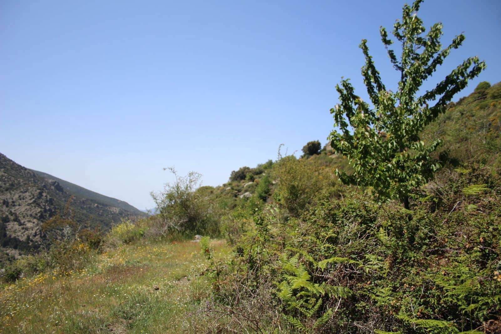 Quinta/Casa Rural para venda em Trevelez - 69 900 € (Ref: 8935705)