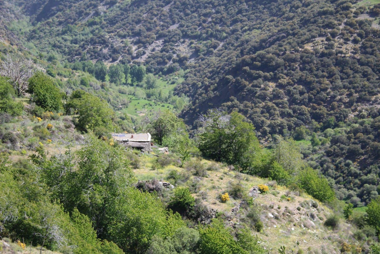 Quinta/Casa Rural para venda em Trevelez - 69 900 € (Ref: 8935705)