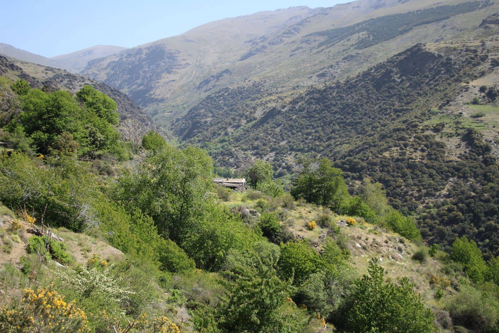 Quinta/Casa Rural para venda em Trevelez - 69 900 € (Ref: 8935705)