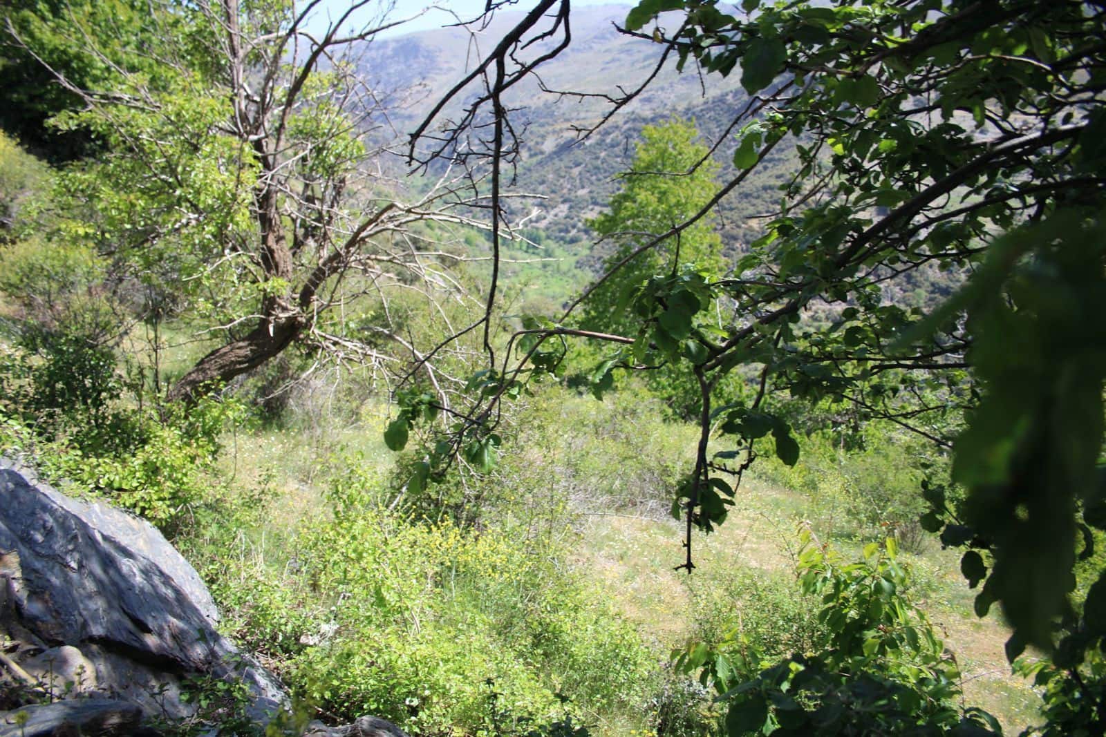 Quinta/Casa Rural para venda em Trevelez - 69 900 € (Ref: 8935705)