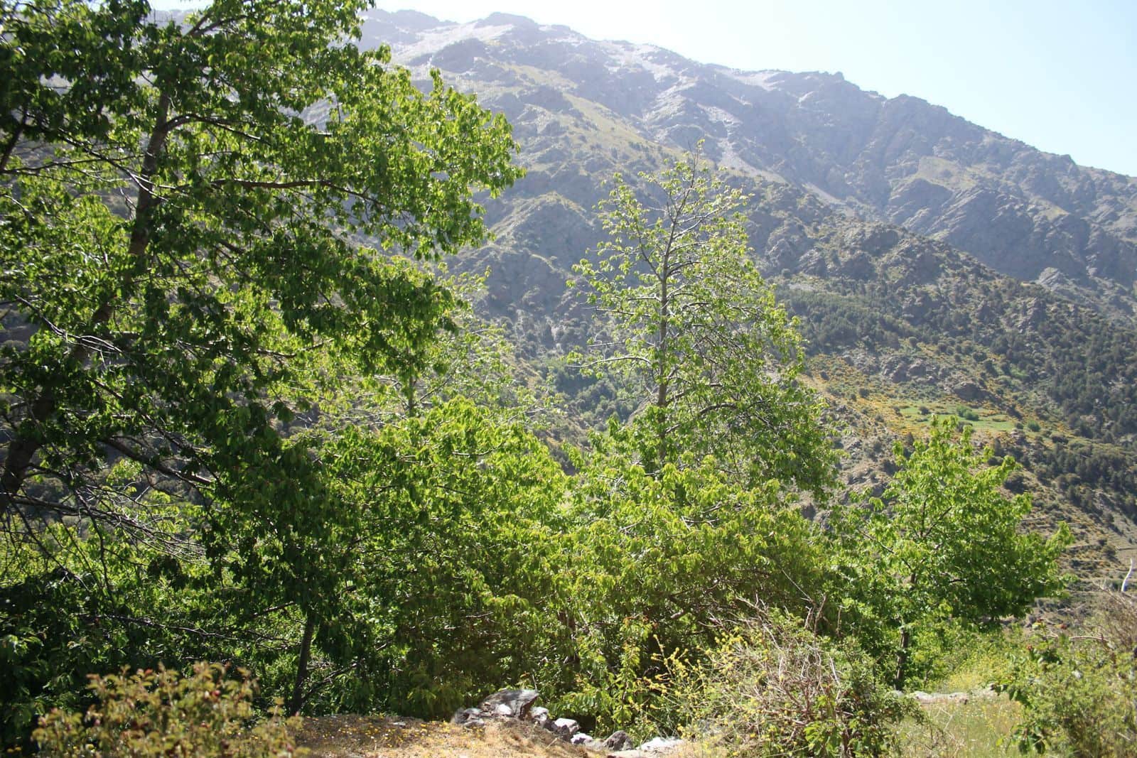 Quinta/Casa Rural para venda em Trevelez - 69 900 € (Ref: 8935705)