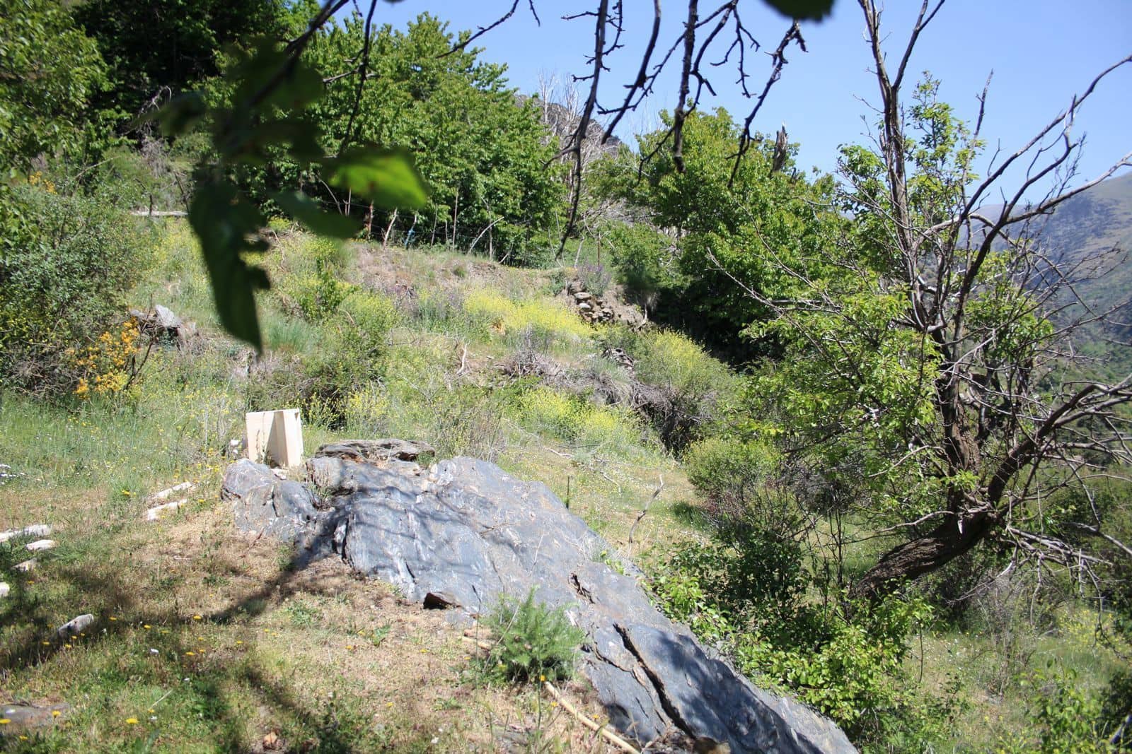 Quinta/Casa Rural para venda em Trevelez - 69 900 € (Ref: 8935705)