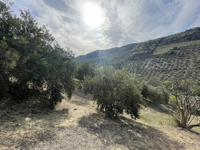 Finca/Casa Rural en Algarinejo en venta - 39.000 € (Ref: 8948522)