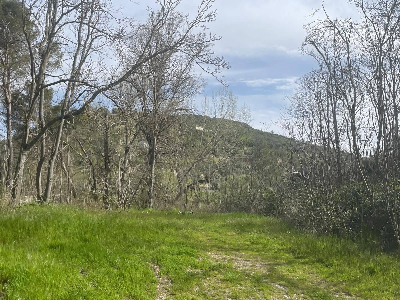 Finca/Country House for sale in Algarinejo - € 39,000 (Ref: 8948522)