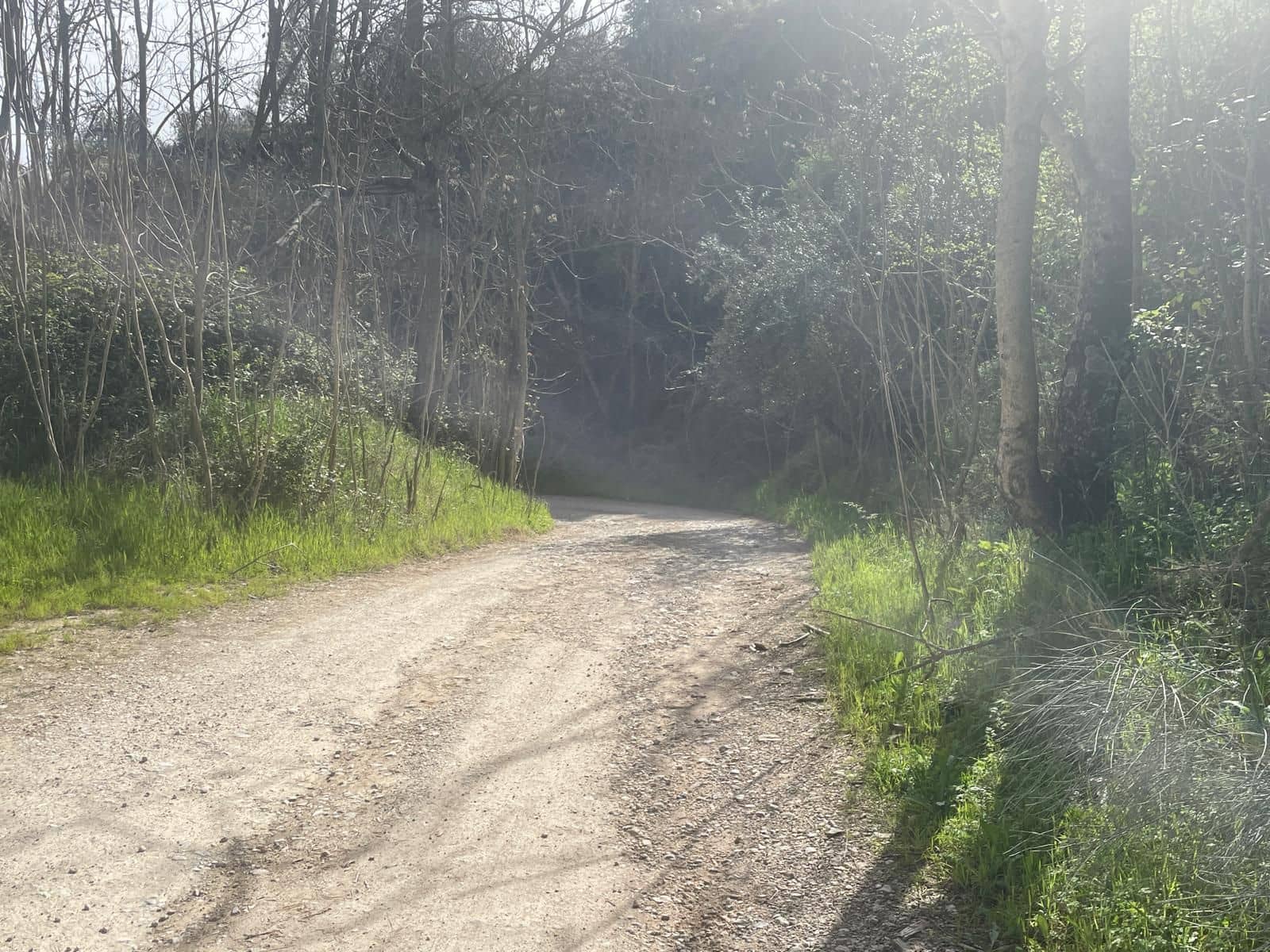 Finca/Country House for sale in Algarinejo - € 39,000 (Ref: 8948522)