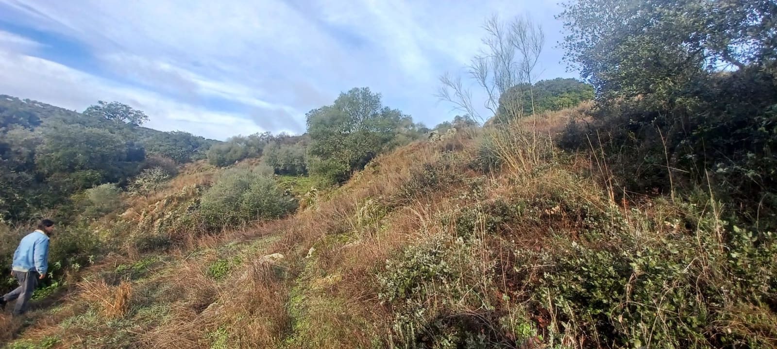 4 makuuhuone Maalaistalo myytävänä paikassa Cazalla de la Sierra mukana 
autotalli - 350 000 € (Ref: 9518453)