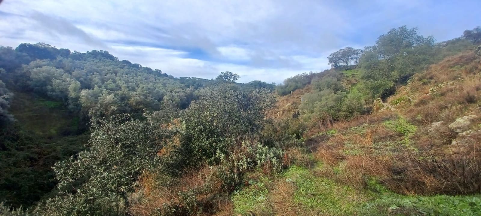 4 makuuhuone Maalaistalo myytävänä paikassa Cazalla de la Sierra mukana 
autotalli - 350 000 € (Ref: 9518453)