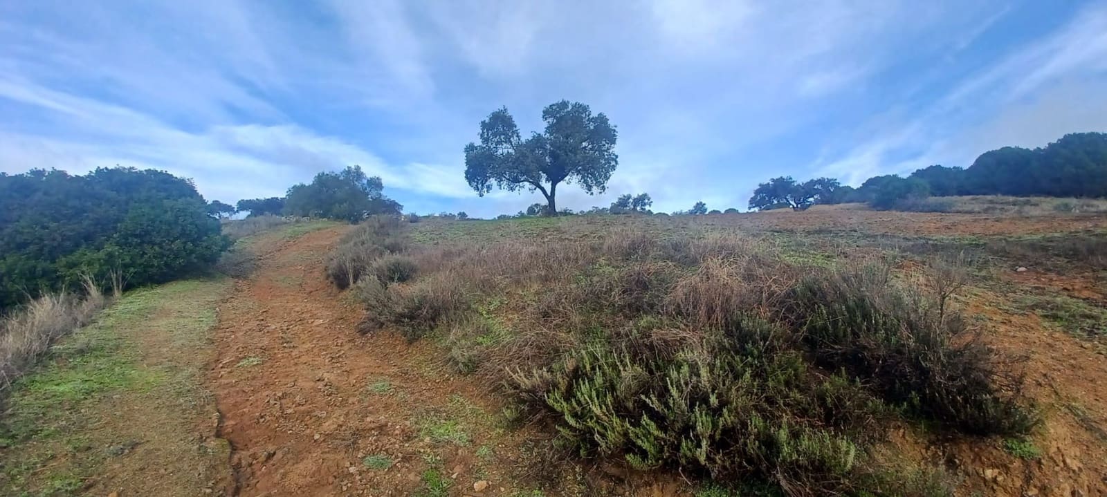 4 makuuhuone Maalaistalo myytävänä paikassa Cazalla de la Sierra mukana 
autotalli - 350 000 € (Ref: 9518453)