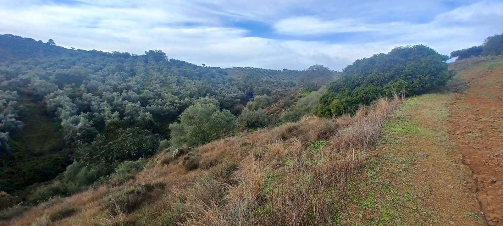 4 makuuhuone Maalaistalo myytävänä paikassa Cazalla de la Sierra mukana 
autotalli - 350 000 € (Ref: 9518453)