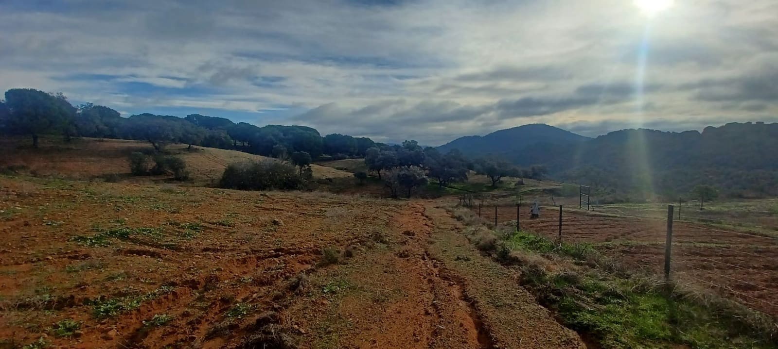 4 makuuhuone Maalaistalo myytävänä paikassa Cazalla de la Sierra mukana 
autotalli - 350 000 € (Ref: 9518453)