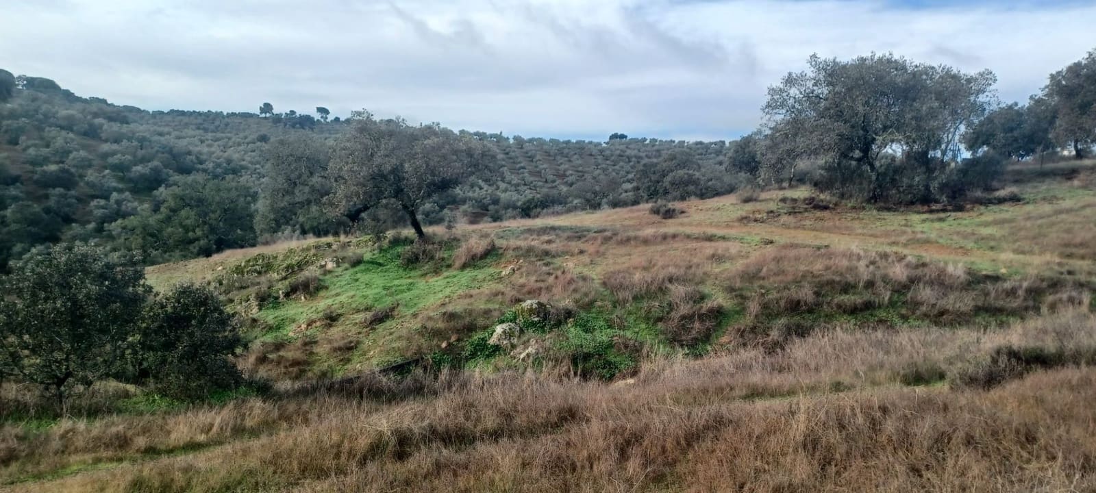 4 makuuhuone Maalaistalo myytävänä paikassa Cazalla de la Sierra mukana 
autotalli - 350 000 € (Ref: 9518453)