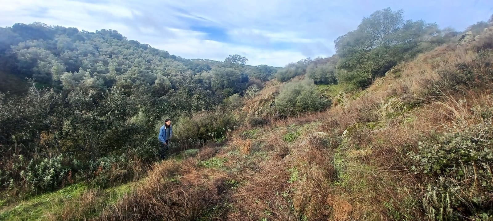 4 makuuhuone Maalaistalo myytävänä paikassa Cazalla de la Sierra mukana 
autotalli - 350 000 € (Ref: 9518453)